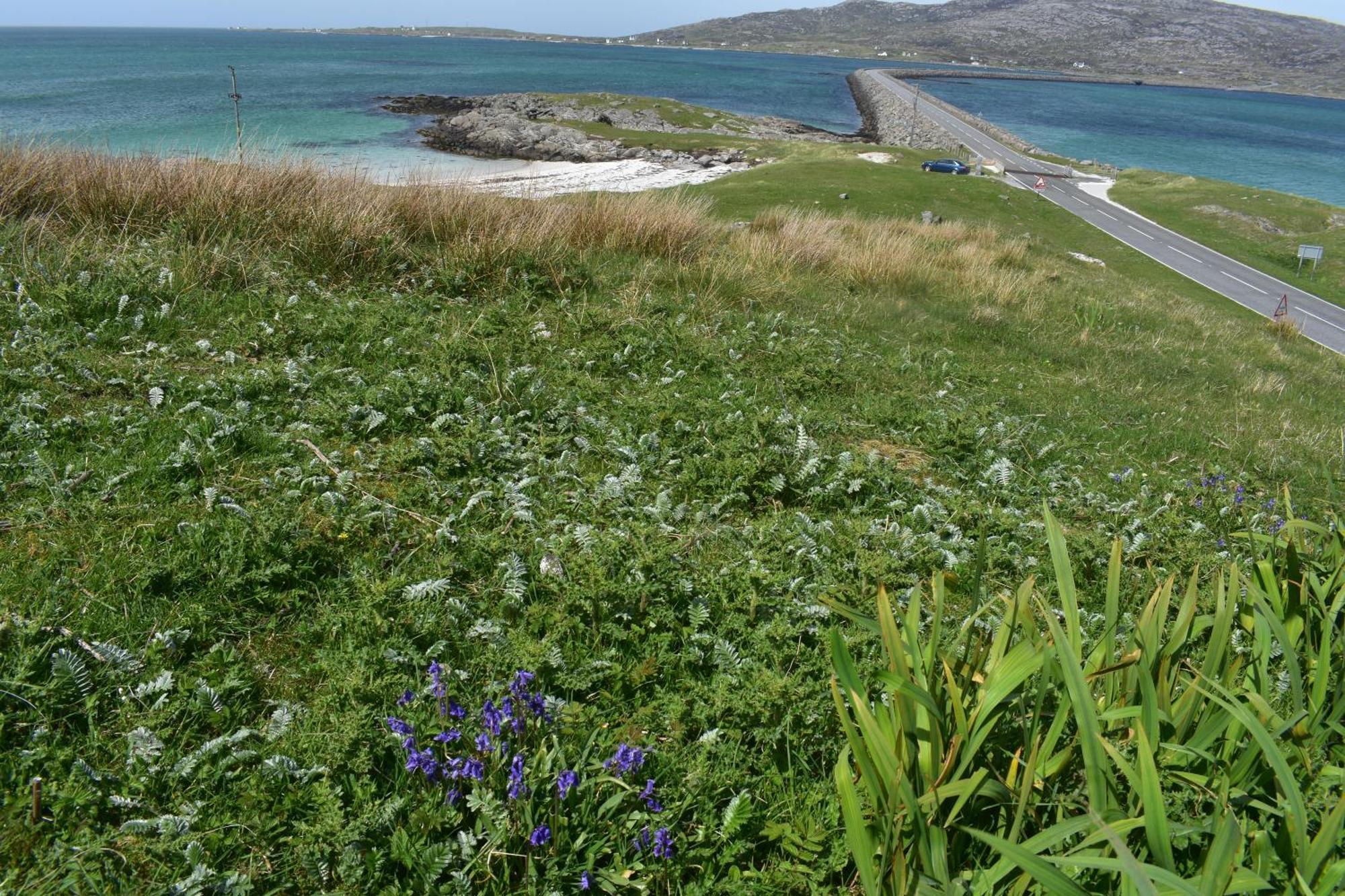 Glamping Pod For 2 Pod Beag Na Haun Eriskay别墅 外观 照片